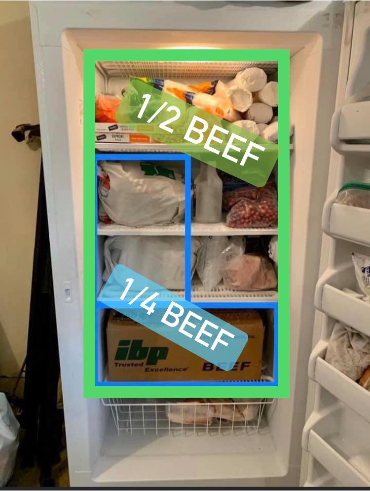 Beef Shares | Available Now